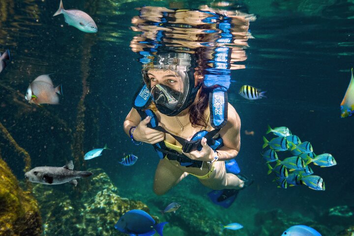 Xel-Ha Tickets with Transportation included | 2026 VIP Concierge