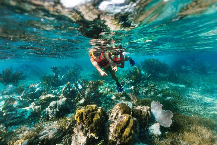 Snorkel de Arrecife en Parque Nacional desde Cancún con Almuerzo | Concierge VIP 2026