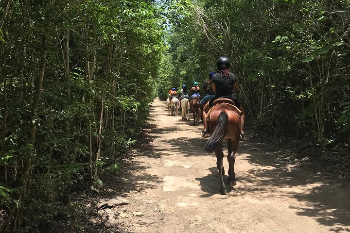 Aventura Local Extrema: Caballos + ATV, Cenote, Tirolesas y Almuerzo | Concierge VIP