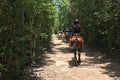 Aventura Local Extrema: Caballos + ATV, Cenote, Tirolesas y Almuerzo | Concierge VIP