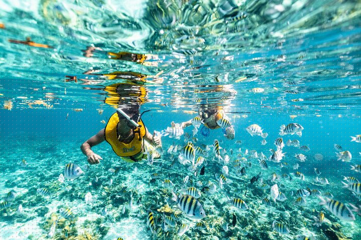 Cancun Extreme Local Adventure: 5-in-1 Snorkel — Reef, MUSA, Turtles, Shipwreck & Cenote