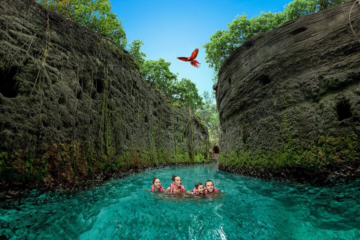Excursión de un Día a Xcaret con Transporte y Show Nocturno | Concierge VIP 2026