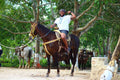 Aventura Local Extrema: ATV, Tirolesa, Cenote, Caballos y Tequila | Concierge VIP
