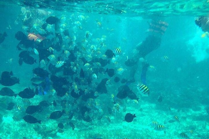 Aventura en Jetski y Snorkel en Cancún | Concierge VIP 2026