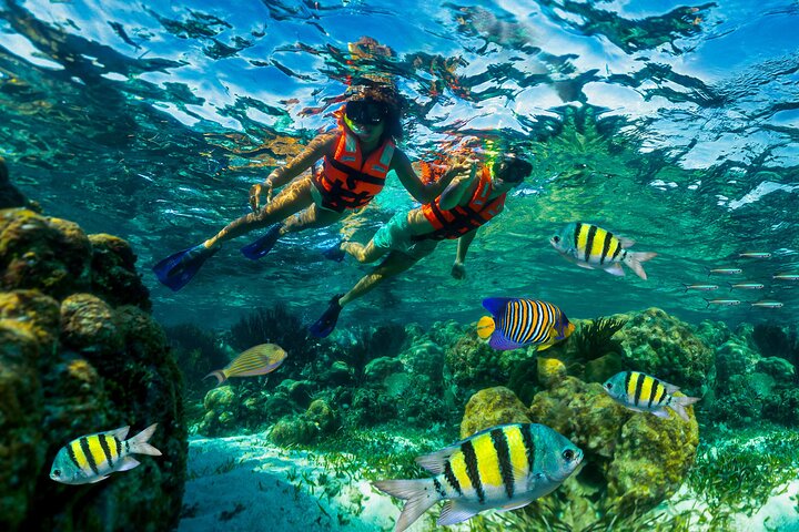 Snorkel de Arrecife en Parque Nacional desde Cancún con Almuerzo | Concierge VIP 2026