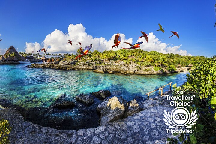 Entradas al Parque Xcaret con Show Nocturno Incluido | Concierge VIP 2026