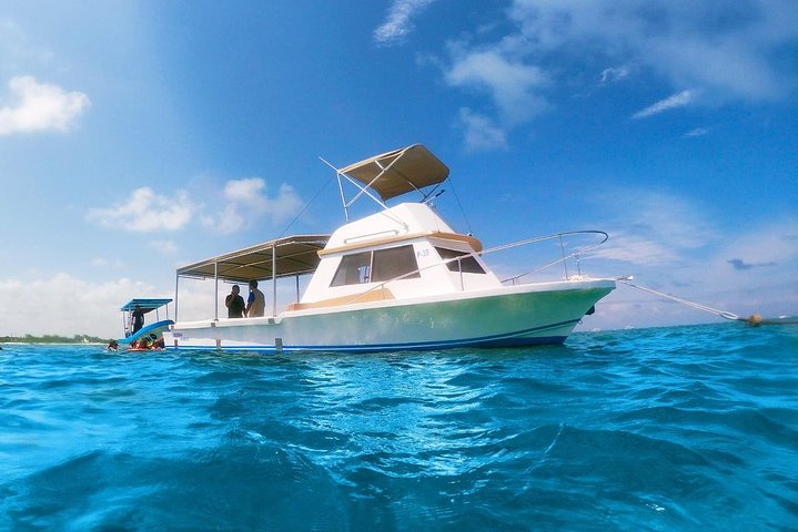 Reef Snorkeling in National Park from Cancun with Beachside Lunch | 2026 VIP Concierge