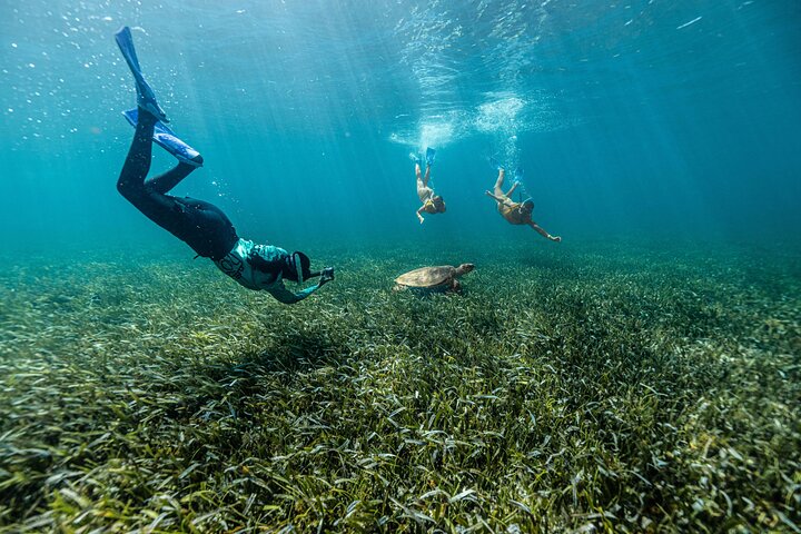 Cancun Extreme Local Adventure: 5-in-1 Snorkel — Reef, MUSA, Turtles, Shipwreck & Cenote