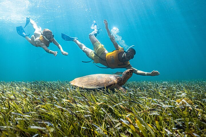 Cancun Extreme Local Adventure: 5-in-1 Snorkel — Reef, MUSA, Turtles, Shipwreck & Cenote
