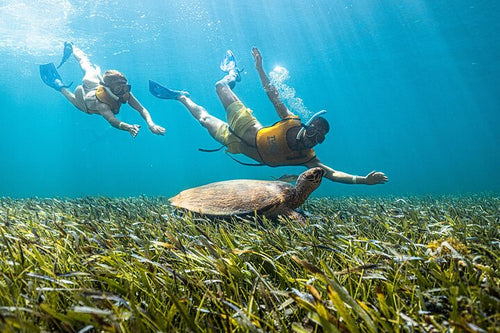 Cancun Extreme Local Adventure: 5-in-1 Snorkel — Reef, MUSA, Turtles, Shipwreck & Cenote