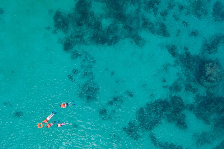 Aventura Local Extrema: Tortugas Marinas y Cenote con Recogida en tu Hotel | Concierge VIP