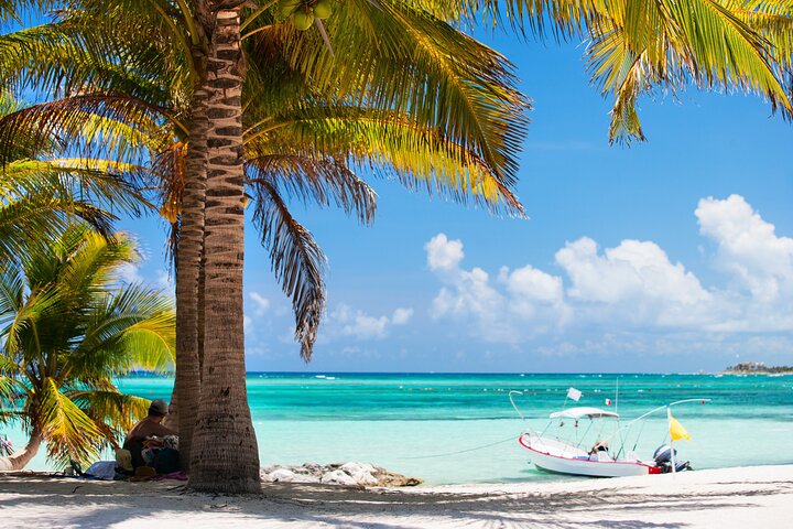 Cancun Extreme Local Adventure: Cancun: Sea turtles and Cenote Tour With Pick Up from your Hotel